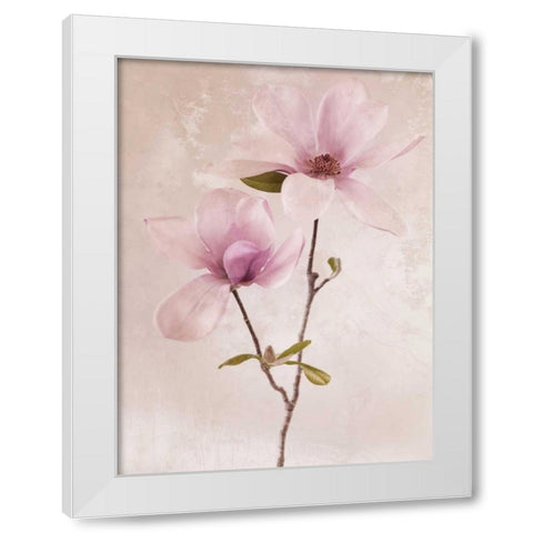 Tulip Blush II White Modern Wood Framed Art Print by Zalewski, Christine