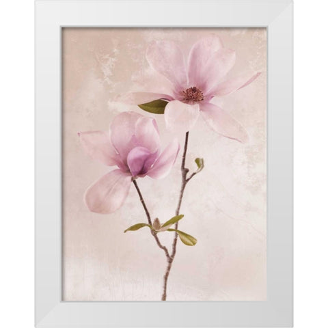 Tulip Blush II White Modern Wood Framed Art Print by Zalewski, Christine