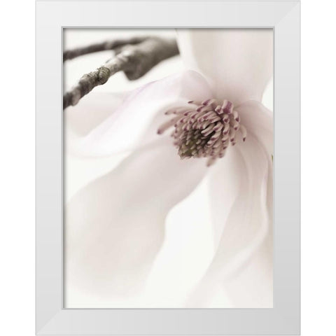 Magnolia Blush I White Modern Wood Framed Art Print by Zalewski, Christine