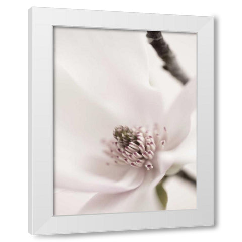 Magnolia Blush II White Modern Wood Framed Art Print by Zalewski, Christine