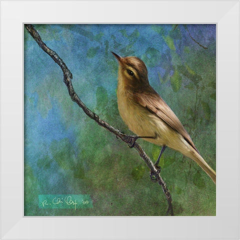 Viveo White Modern Wood Framed Art Print by Vest, Chris