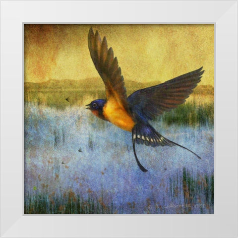 Barnswallow White Modern Wood Framed Art Print by Vest, Chris