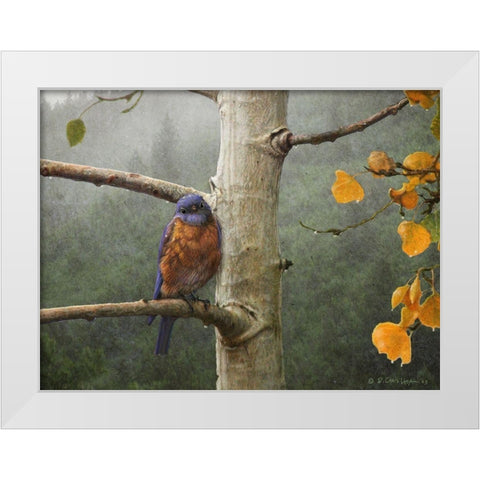 Bluebird Rain White Modern Wood Framed Art Print by Vest, Chris