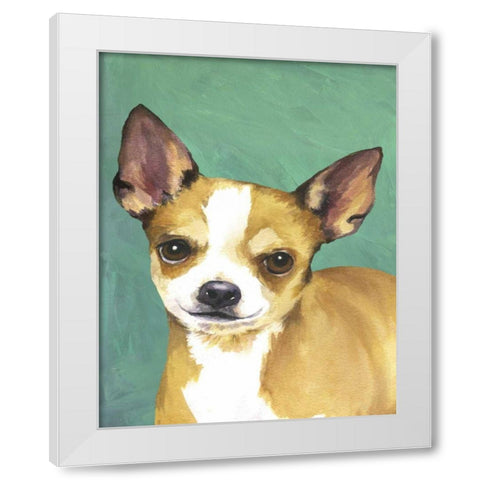 Dog Portrait-Chihuahua White Modern Wood Framed Art Print by Sands, Jill