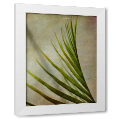 Elegant Frond I White Modern Wood Framed Art Print by Robinson, Emily