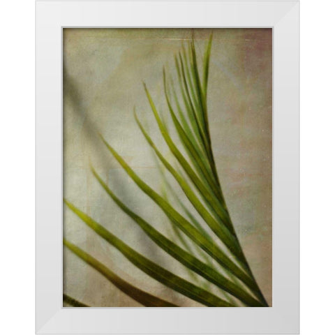 Elegant Frond I White Modern Wood Framed Art Print by Robinson, Emily