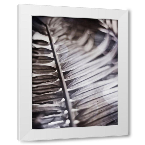 Silvery Frond I White Modern Wood Framed Art Print by Robinson, Emily