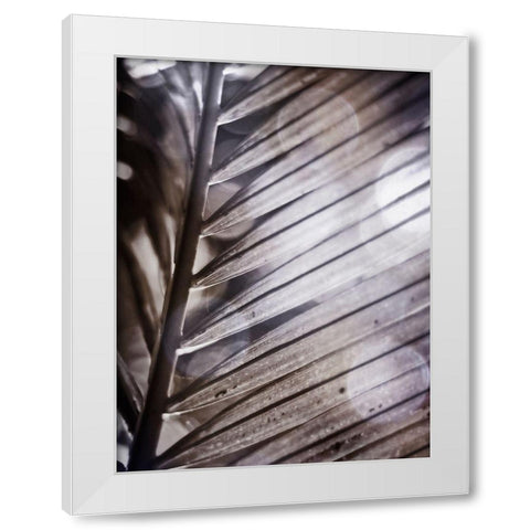 Silvery Frond II White Modern Wood Framed Art Print by Robinson, Emily