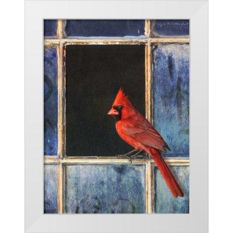 Cardinal Window White Modern Wood Framed Art Print by Vest, Chris