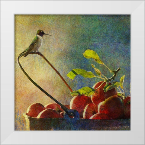 Apples and Hummer White Modern Wood Framed Art Print by Vest, Chris