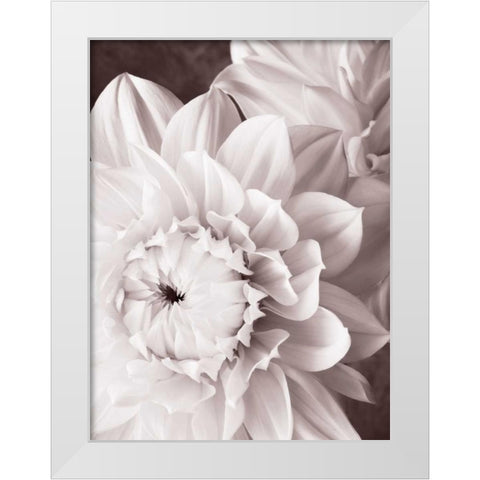 BandW Dahlias I White Modern Wood Framed Art Print by Zalewski, Christine
