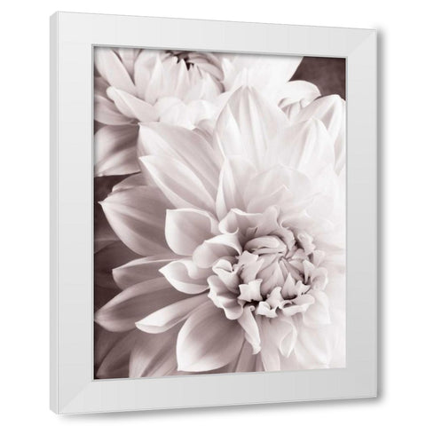 BandW Dahlias II White Modern Wood Framed Art Print by Zalewski, Christine