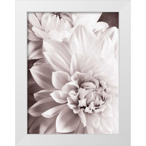 BandW Dahlias II White Modern Wood Framed Art Print by Zalewski, Christine