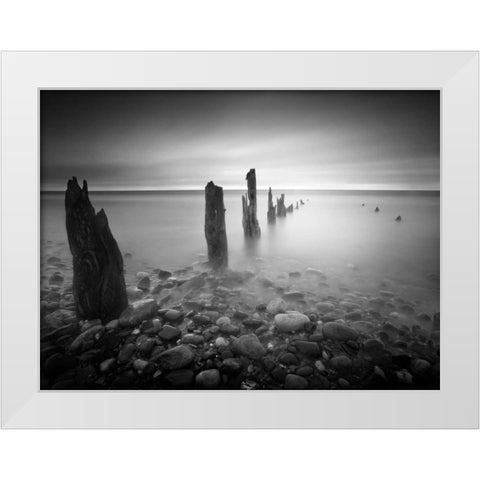 Soft Light White Modern Wood Framed Art Print by Henson, Martin