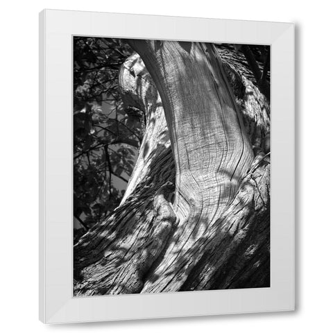 Texture White Modern Wood Framed Art Print by Henson, Martin