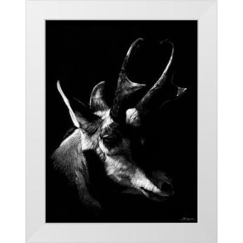 Wildlife Scratchboards II White Modern Wood Framed Art Print by Chapman, Julie T.