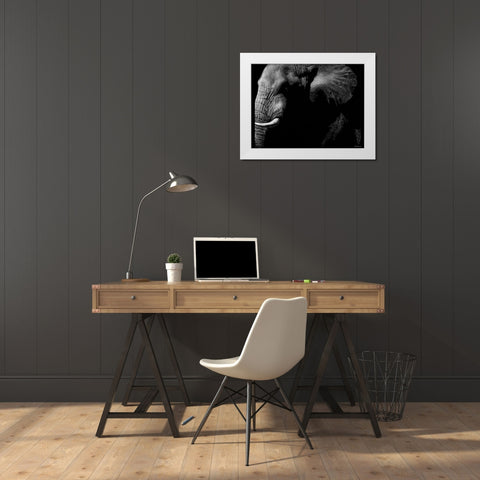 Wildlife Scratchboards III White Modern Wood Framed Art Print by Chapman, Julie T.