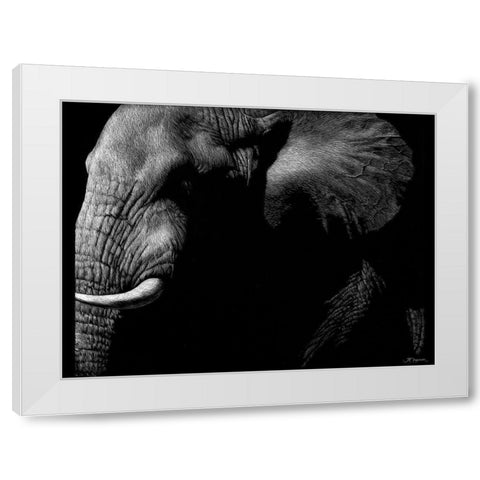Wildlife Scratchboards III White Modern Wood Framed Art Print by Chapman, Julie T.