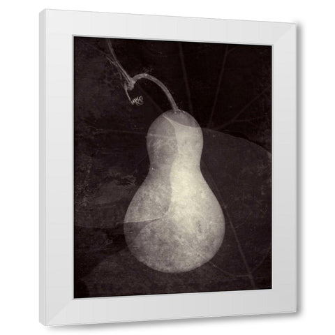 Gourd I White Modern Wood Framed Art Print by Ray, Elena