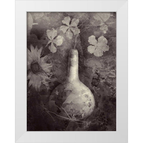 Gourd II White Modern Wood Framed Art Print by Ray, Elena