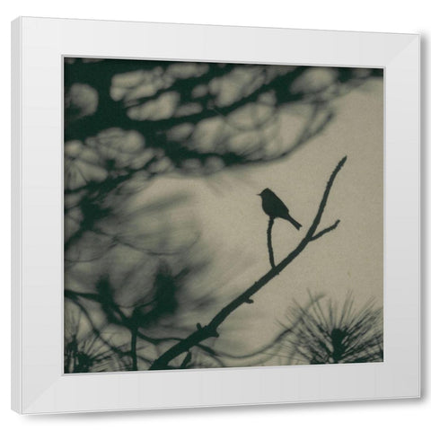 Caligraphy Bird I White Modern Wood Framed Art Print by Ray, Elena