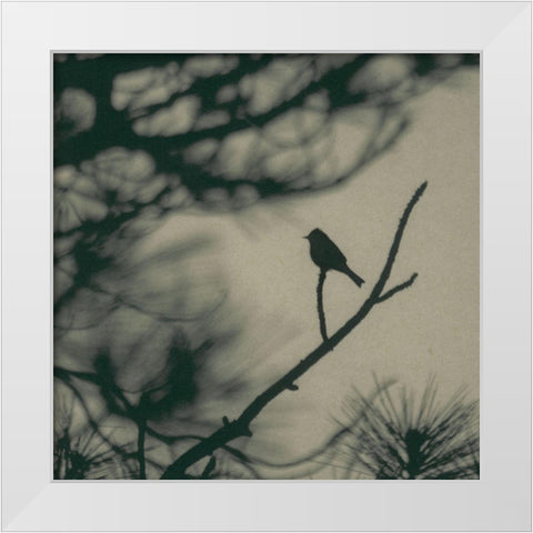 Caligraphy Bird I White Modern Wood Framed Art Print by Ray, Elena