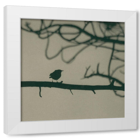 Caligraphy Bird II White Modern Wood Framed Art Print by Ray, Elena