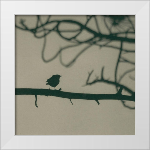 Caligraphy Bird II White Modern Wood Framed Art Print by Ray, Elena