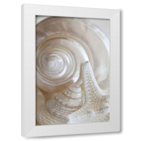 Pearlesce III White Modern Wood Framed Art Print by Zalewski, Christine