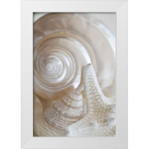Pearlesce III White Modern Wood Framed Art Print by Zalewski, Christine