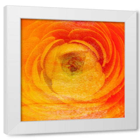 Relatives I White Modern Wood Framed Art Print by Harrington, Danielle
