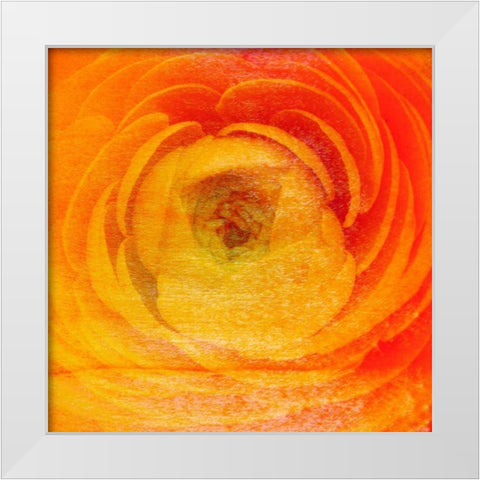 Relatives I White Modern Wood Framed Art Print by Harrington, Danielle