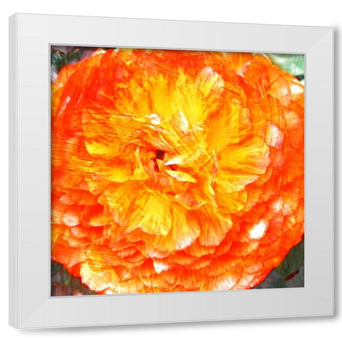 Relatives II White Modern Wood Framed Art Print by Harrington, Danielle