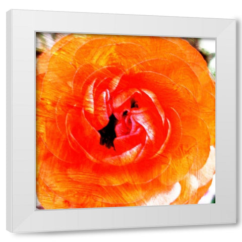 Relatives III White Modern Wood Framed Art Print by Harrington, Danielle