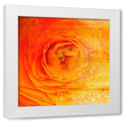 Relatives IV White Modern Wood Framed Art Print by Harrington, Danielle