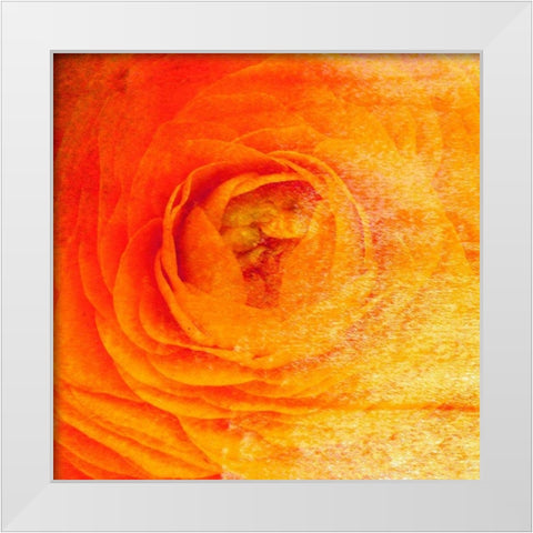 Relatives IV White Modern Wood Framed Art Print by Harrington, Danielle