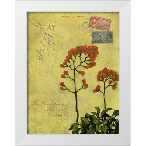 Postage VII White Modern Wood Framed Art Print by Novak, Rick