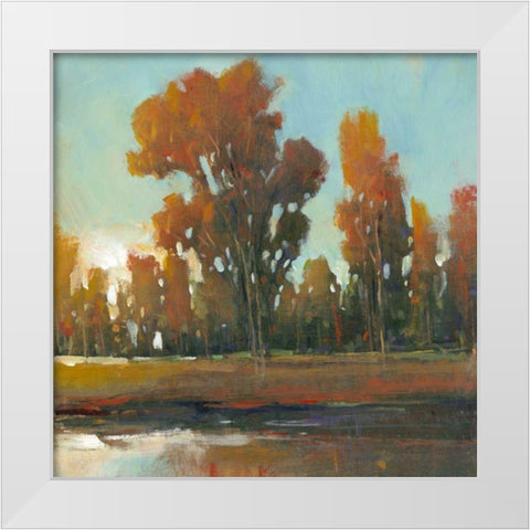 Late Afternoon Fall White Modern Wood Framed Art Print by OToole, Tim