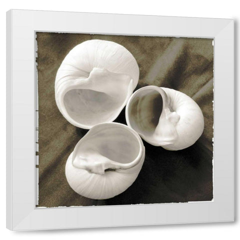 Equalized Shell Trio I White Modern Wood Framed Art Print by James, Andrea