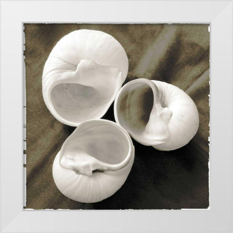 Equalized Shell Trio I White Modern Wood Framed Art Print by James, Andrea