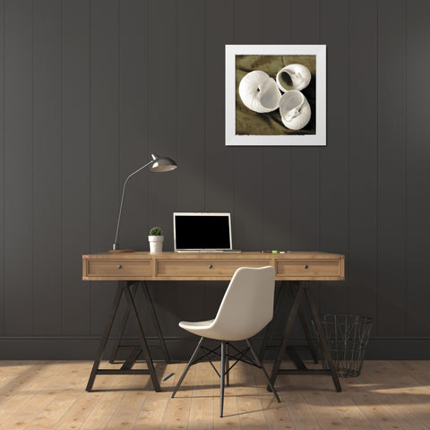 Equalized Shell Trio II White Modern Wood Framed Art Print by James, Andrea