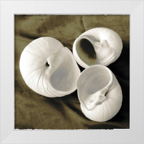 Equalized Shell Trio II White Modern Wood Framed Art Print by James, Andrea