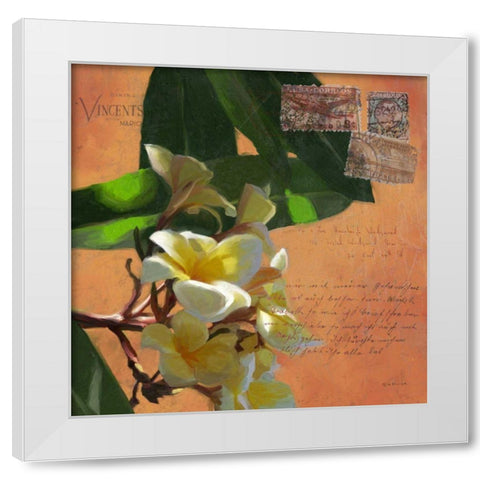 Plumeria and Postage II White Modern Wood Framed Art Print by Novak, Rick