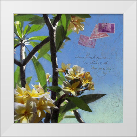 Plumeria and Postage IV White Modern Wood Framed Art Print by Novak, Rick