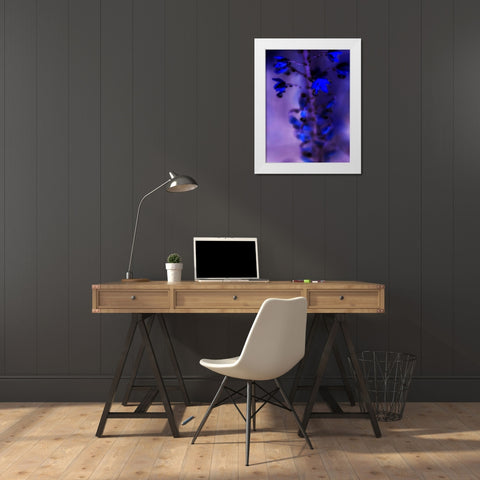 Morning Rain III White Modern Wood Framed Art Print by Teton Parchment