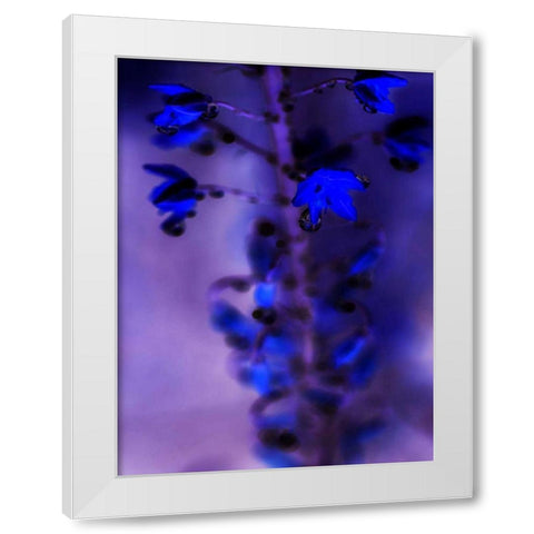 Morning Rain III White Modern Wood Framed Art Print by Teton Parchment