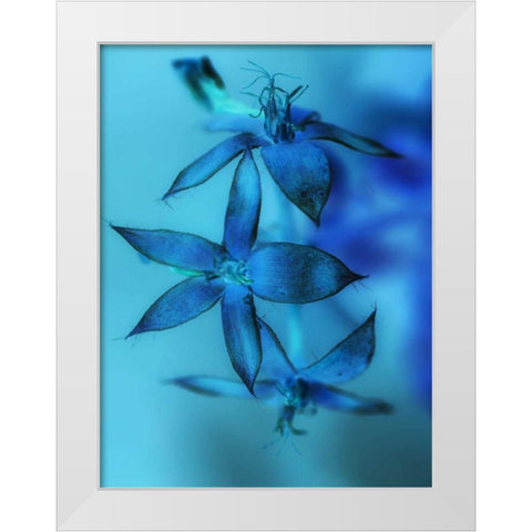 Falling Forward I White Modern Wood Framed Art Print by Teton Parchment