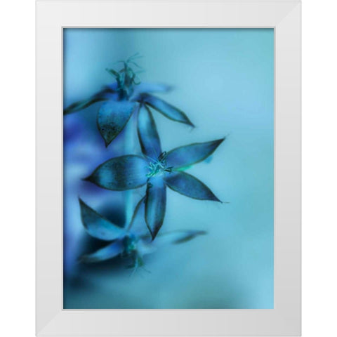 Falling Forward II White Modern Wood Framed Art Print by Teton Parchment