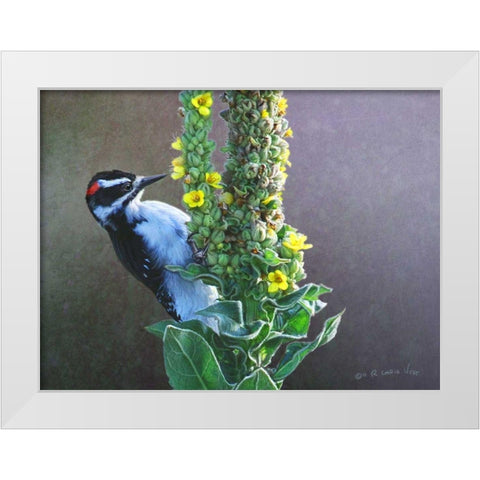 Woodpecker Mullen White Modern Wood Framed Art Print by Vest, Chris
