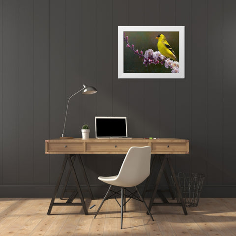 Goldfinch Flowers White Modern Wood Framed Art Print by Vest, Chris